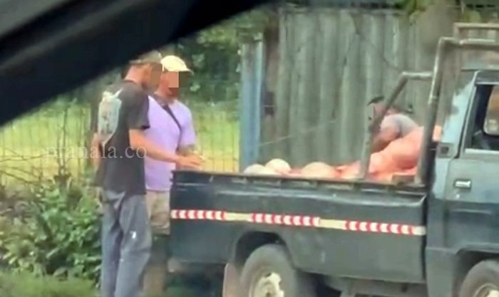 Viral! Sopir Buang Jeroan Kurban ke Parit, DLH dan DPRD Balikpapan Geram