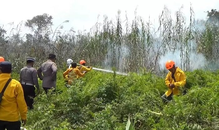Waspada! 183 Titik Panas Ditemukan di Kaltim