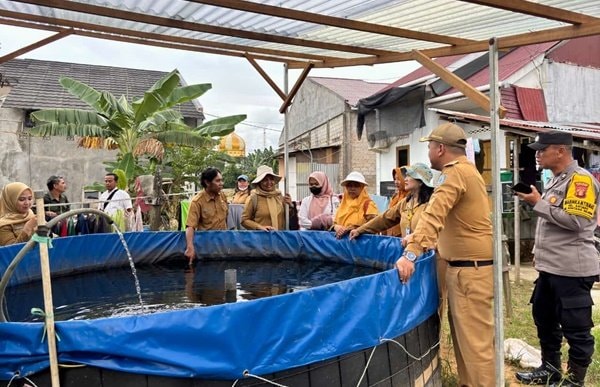 DKP3 Bontang Pantau Urban Farming di Kelurahan Satimpo, Dukung Ketahanan Pangan Lokal