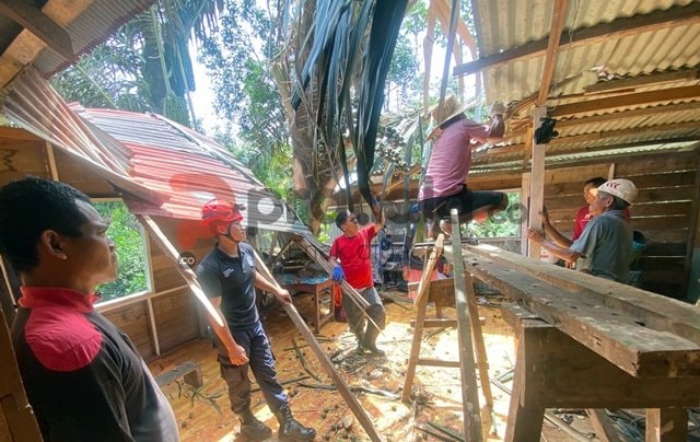 Pohon Tumbang Timpa Rumah Warga di Kanaan Bontang, Evakuasi Hampir 4 Jam