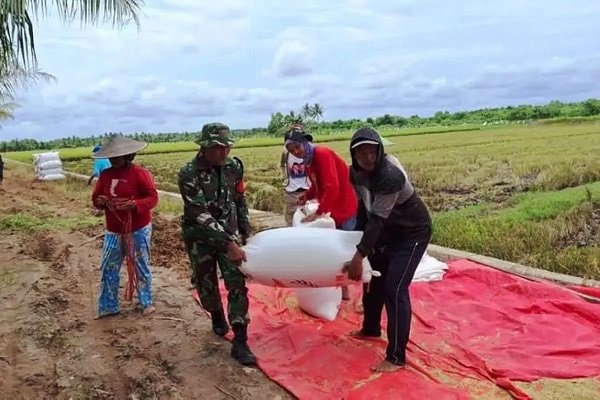 Kodim 0908/Bontang Kawal Instruksi Presiden Soal Harga Gabah Petani