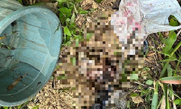 Motif di Balik Kasus Pembuangan Bayi di Sangatta Kutim: Panik dan Tak Siap jadi Ibu
