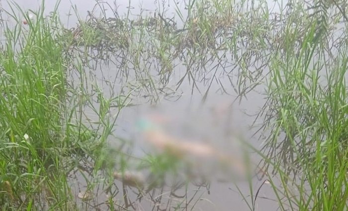 Sempat Diajak Jalan-Jalan, Remaja 14 Tahun di Kutai Timur Dibunuh
