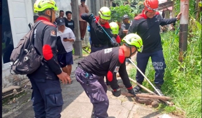 Biawak Jumbo Masuk Kawasan Sekolah di Bontang, Dievakuasi 27 Menit