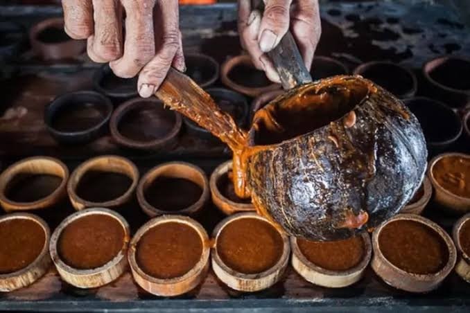 Perkebunan Aren di Kukar Kaltim Siap Topang Kebutuhan Gula Merah di IKN