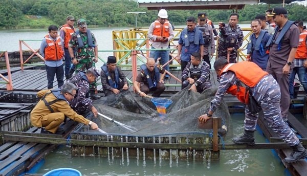 Lanal Sangatta Kutim Sulap Lubang Batu Bara jadi Kolam Ikan Lele