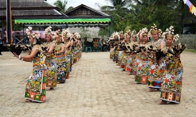 Tari Burung Enggang, Diadaptasi dari Burung Keramat Suku Dayak Kenyah