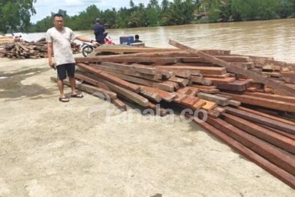 Bongkar Praktik Illegal Logging, Ratusan Batang Ulin Disita di Pelabuhan Paser