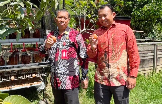 Emak-Emak Bontang Sulap Bantuan Ayam Petelur Jadi Cuan Tambahan