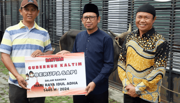 Pj Gubernur Kaltim Salurkan Bantuan 10 Sapi Kurban, Setiap Sapi Bobotnya 450 Kg
