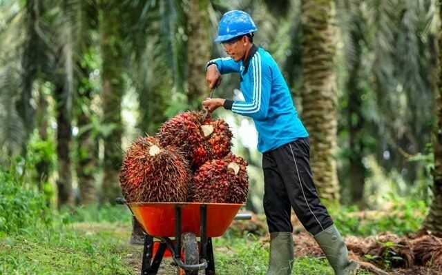 Balikpapan Jajaki Kerja Sama Dagang dengan Kazakhstan, Sawit dan Perikanan jadi Andalan