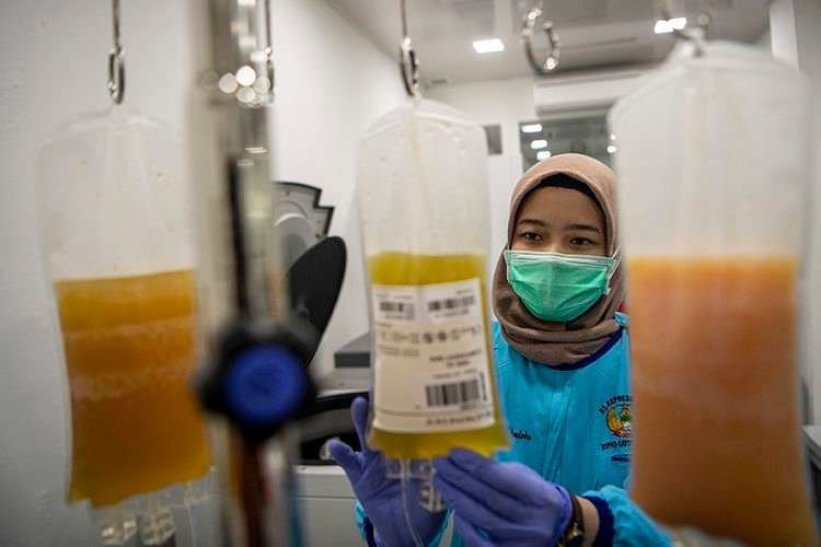 Kebutuhan Plasma Konvalesen di Samarinda Meningkat