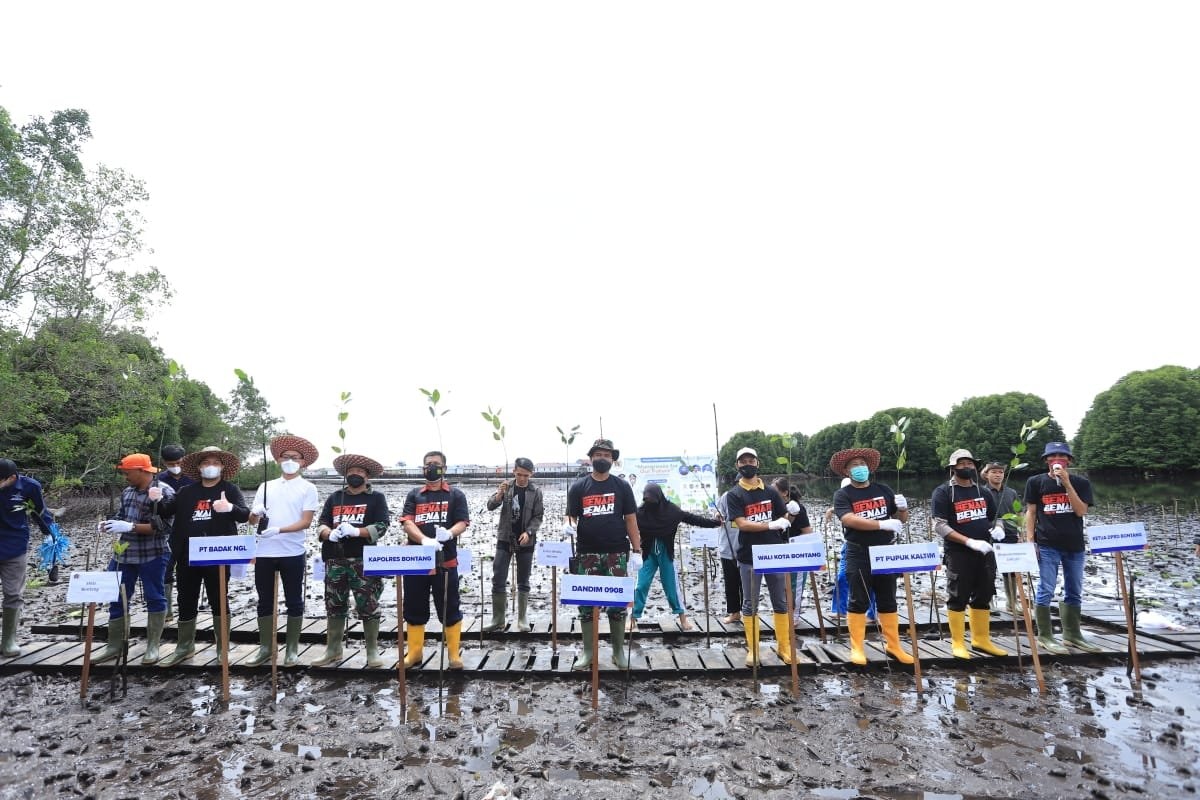 PWI Bontang Tanam Seribu Mangrove
