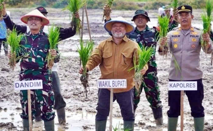 Berau Tambah 100 Hektare Sawah, Ini Dampaknya bagi Petani