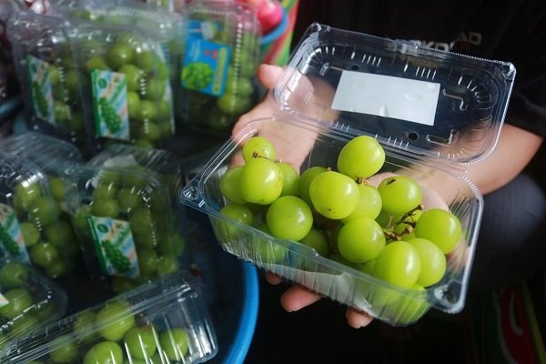 Anggur Shine Muscat di Balikpapan Bebas Pestisida, Warga Diminta Tetap Cermat