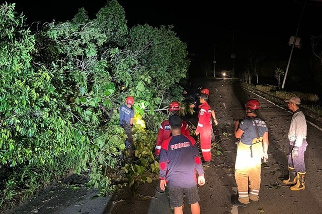 Potret Disdamkartan Bontang Berjibaku 6 Jam Pangkas 26 Pohon Tumbang Akibat Angin Puting Beliung