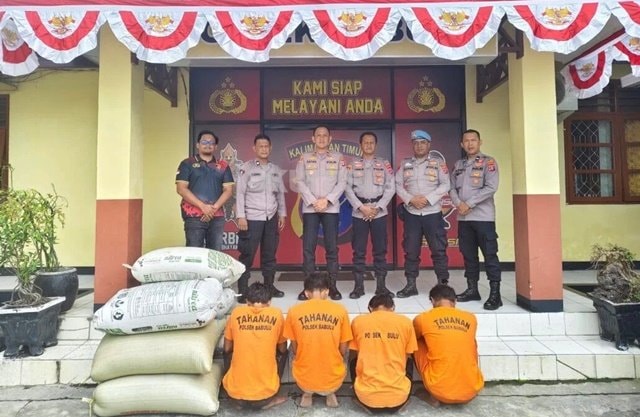 Gudang Tani di Babulu PPU Dibobol, 4 Pencuri Padi dan Pupuk Diringkus