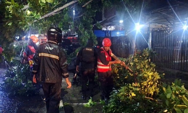 Hujan Deras dan Angin Kencang di Balikpapan, Pohon Tumbang Tutup Akses Jalan