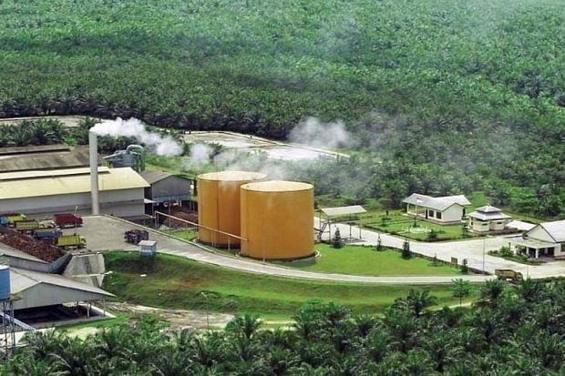 94 Pabrik Kelapa Sawit Beroperasi di Kaltim