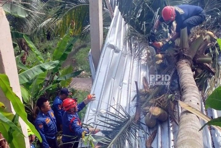 Pohon Tumbang di Jalan WR Supratman Bontang, Atap Bangunan Rusak Parah