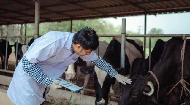 Pemkot Bontang Wajibkan Paramedik Veteriner Miliki Izin Praktik
