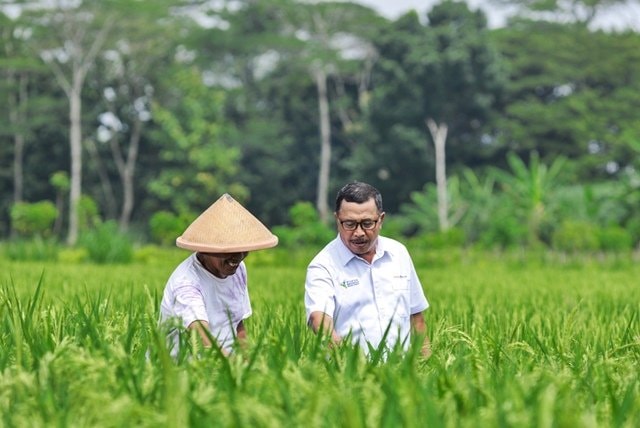 Cuaca Tak Menentu Mulai Ganggu Pangan di Kaltim, Warga Diminta Tak Bergantung Beras