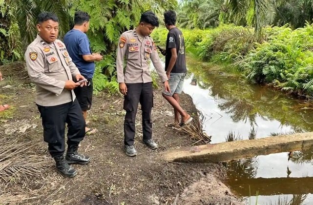 Buruh Sawit di Paser Tewas Diduga Diterkam Buaya di Area Kebun