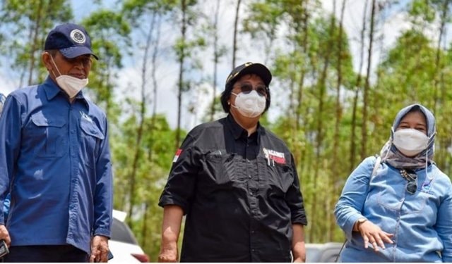 27 Ribu Hektare Lahan Mangrove di Kaltim Kritis