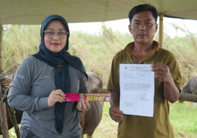 Jelang Iduladha, Seluruh Sapi Kurban di Kutim Dipastikan Bebas Penyakit