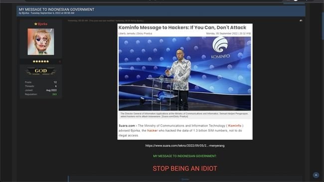 Pesan Hacker Bjorka ke Kominfo: 'Stop Being an Idiot'
