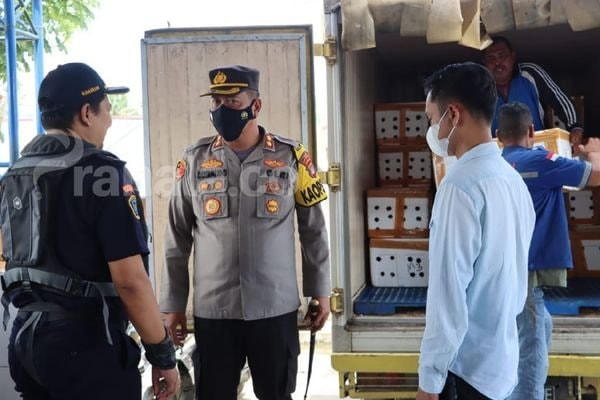 2 Ton Kepiting Gagal Diselundupkan, Sopir Truk Ditahan, Polisi Kejar 3 Pelaku Lainnya