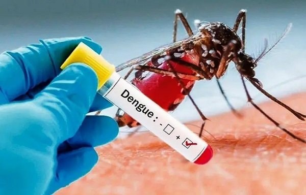 Kasus Kematian DBD Pecah Telur, Diskes Bontang Minta Warga Aktifkan Gerakkan 3M Plus