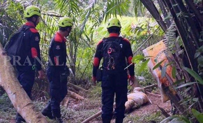 Buaya 2,5 Meter Masuk Kompleks Perumahan BSD Bontang