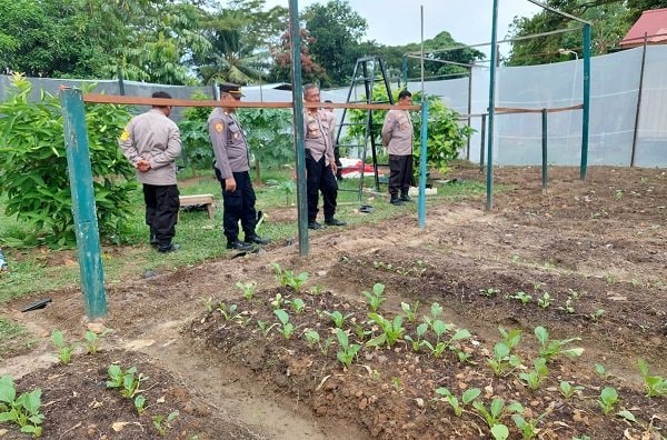 Manfaatkan Lahan 1.200 Meter Persegi, Polres Bontang Jalankan Program Ketahanan Pangan Bergizi