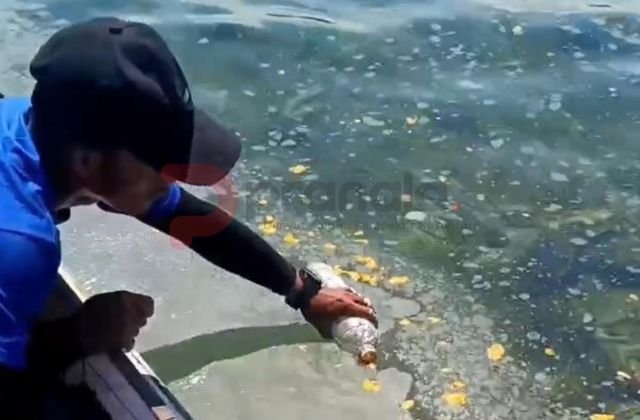 Siapa Rusak Laut Pulau Miang? DLH Kaltim Cium Dugaan Limbah Kapal dan Jetty