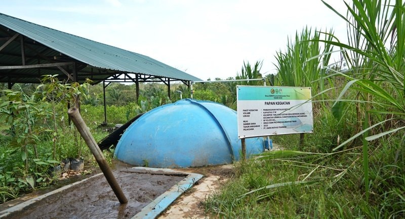 Dari Kandang ke Dapur: Kisah Desa di Kaltim yang Menyalakan Harapan dari Limbah Ternak