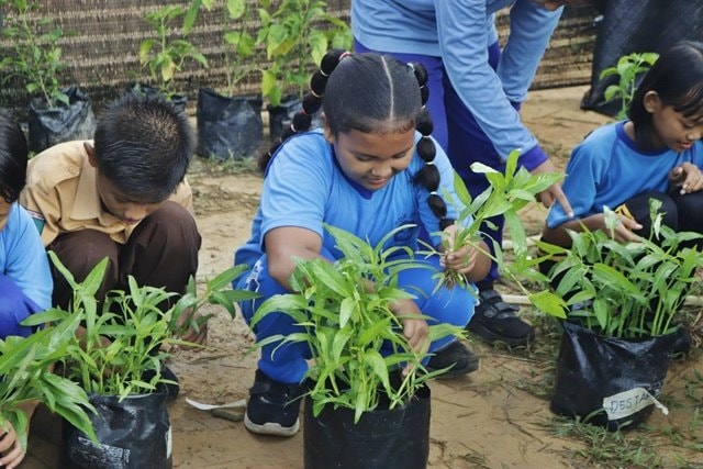 Smart Tani Masuk Sekolah, Siswa SD di Bontang Sudah Panen Kangkung Sendiri