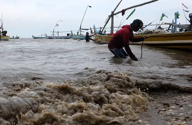 Waspada! Pasang Laut 2,8 Meter Bisa Ganggu Aktivitas Warga Kaltim