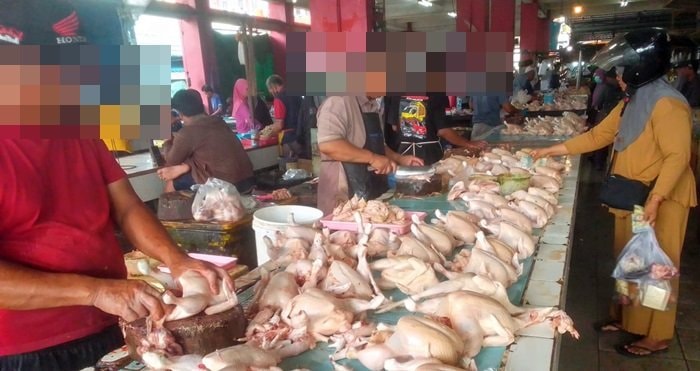 Meragukan Kehalalan Ayam Potong yang Diperjualbelikan di Bontang