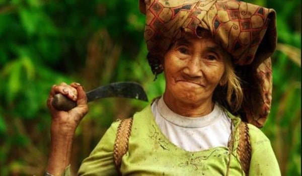 Kaltim Masih Nikmati Bonus Demografi, tetapi Tanda Penduduk Menua Mulai Terlihat