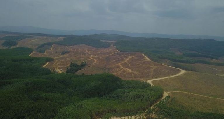 90 Investor Berminat Investasi di Proyek IKN Nusantara