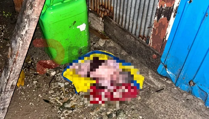 Geger Temuan Bayi Berbungkus Kain Kuning di Balikpapan, Polisi Buru Pelaku Geger Temuan Bayi Berbungkus Kain Kuning di Balikpapan, Polisi Buru Pelaku