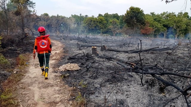 Kebakaran Lahan di Gunung Elai Bontang, Dipadamkan Dua Jam