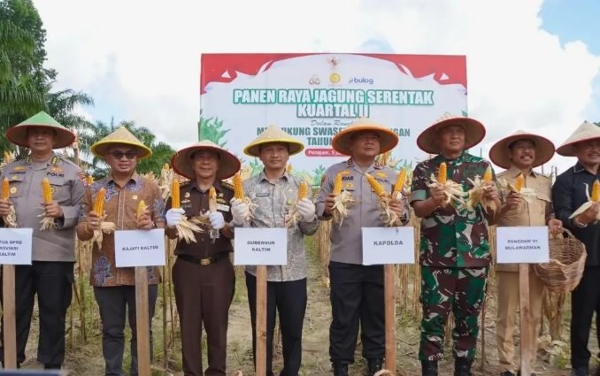 DPRD Kaltim Dukung Panen Raya Jagung Serentak, Dorong Swasembada Pangan Nasional