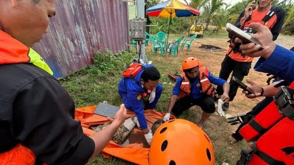 Sekuriti di Sangasanga Kukar Tewas Diterkam Buaya, Potongan Tubuh Ditemukan Tim SAR