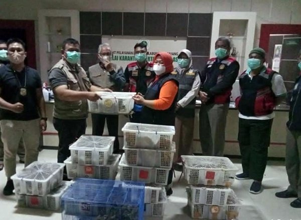 359 Ekor Burung Gagal Diselundupkan