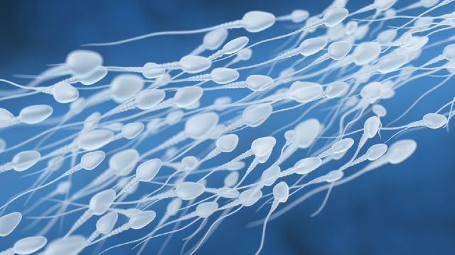 Menguak Kualitas Sperma Berdasarkan Usia Pria