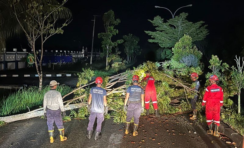 Potret Disdamkartan Bontang Berjibaku 6 Jam Pangkas 26 Pohon Tumbang Akibat Angin Puting Beliung