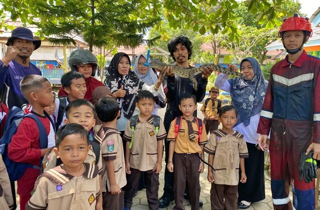 Sempat Bikin Panik, Anak Buaya Muncul saat Jam Pulang TK di Sangatta