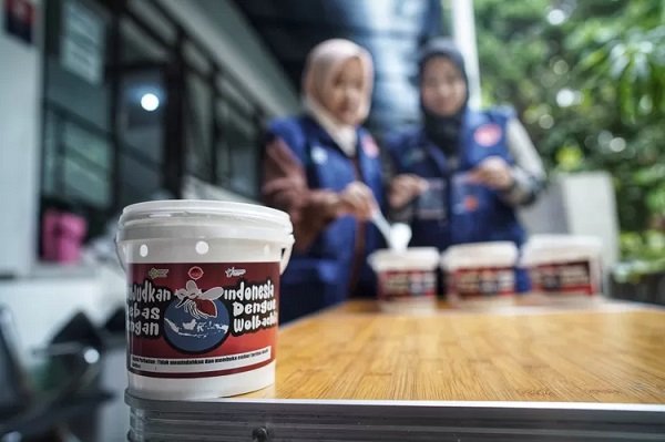 Inovasi Nyamuk Wolbachia, Senjata Ampuh Perangi Lonjakan Kasus DBD di Bontang
